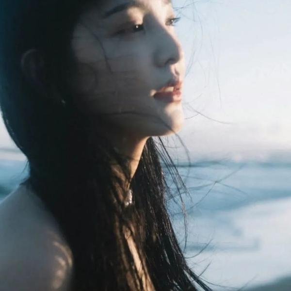 大湾区旅行者